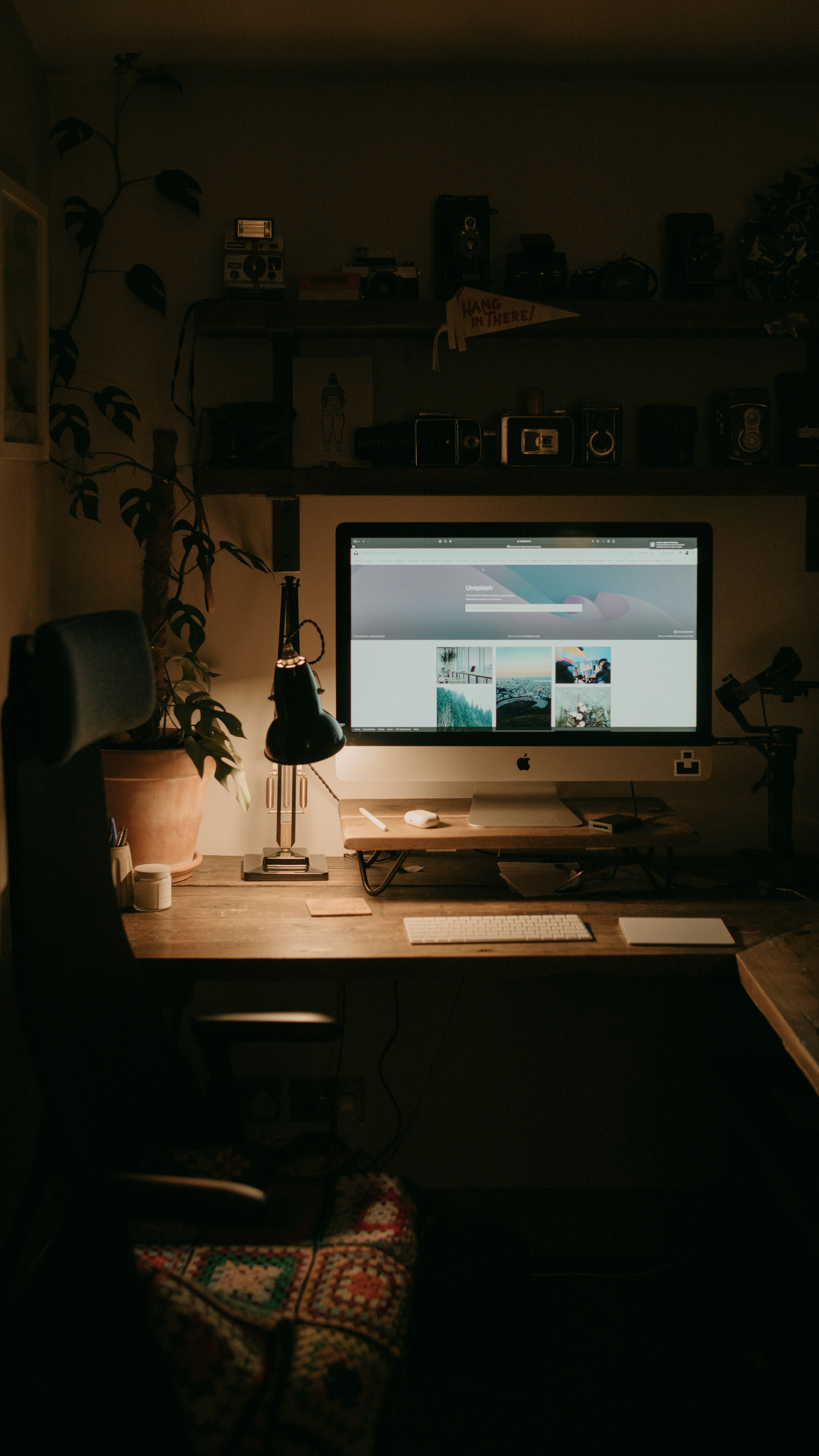 Web Development