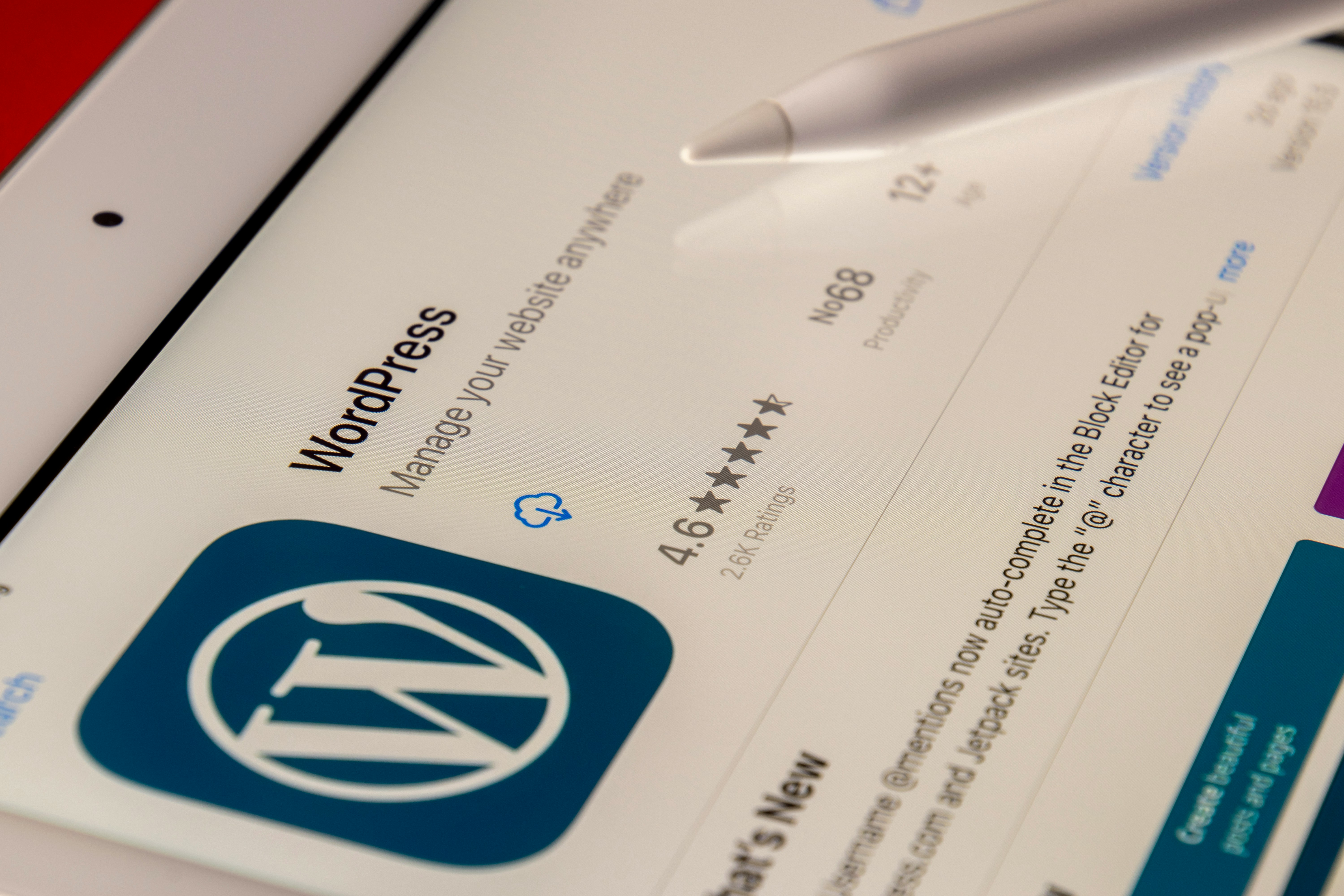 WordPress Solutions
